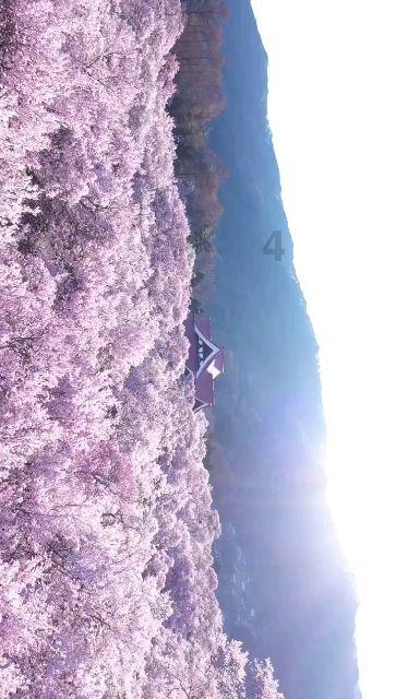 空气悬挂四个下趴了,要4个一起换吗?